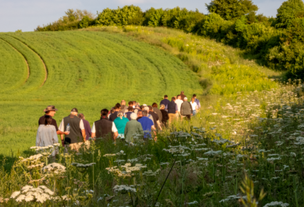 A hedge-laying management system for improved habitats - Cranborne Estate