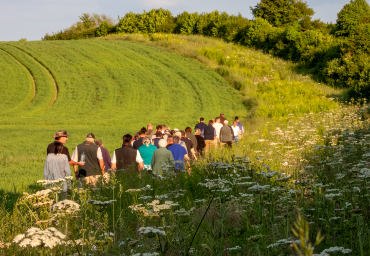 A hedge-laying management system for improved habitats - Cranborne Estate